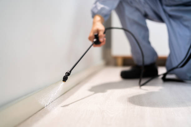 Licensed Termite Control service in Sand Ridge, NY - Show Me Pest Control
