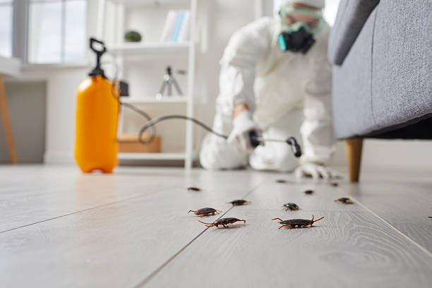 Commercial Rodent Management in Sand Ridge
